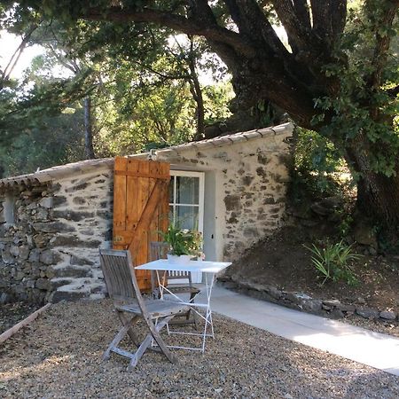 La Petite Bergerie, Les Hautes Roches Collobrieres Luaran gambar