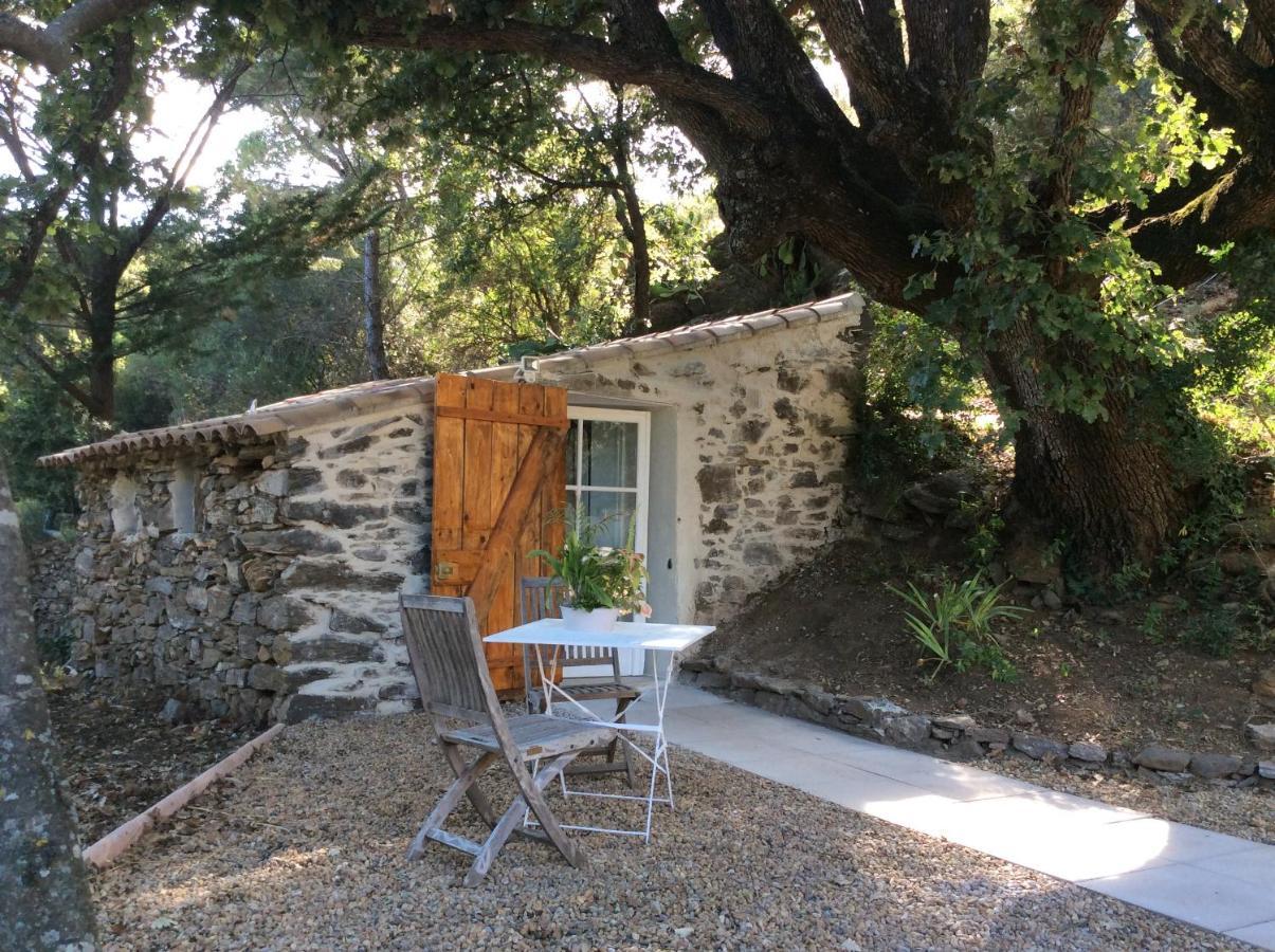 La Petite Bergerie, Les Hautes Roches Collobrieres Luaran gambar