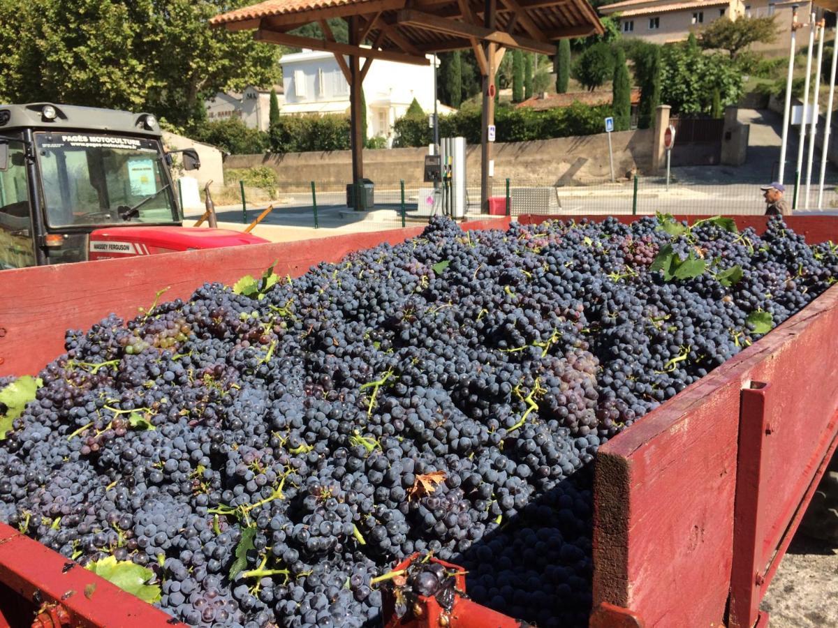 La Petite Bergerie, Les Hautes Roches Collobrieres Luaran gambar