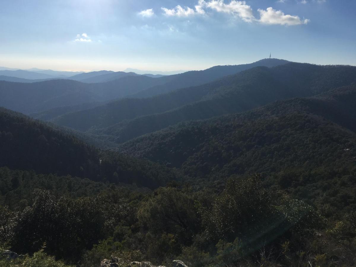 La Petite Bergerie, Les Hautes Roches Collobrieres Luaran gambar